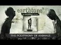 Download Lagu earthtone9 'In Resonance Nexus' Full Album