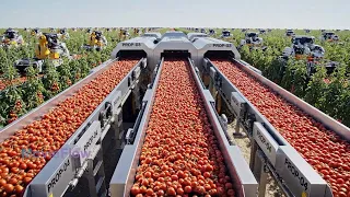 Everything Is Technology Farming Is More Sophisticated Than Before