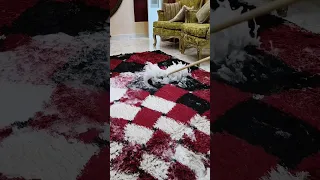 غسيل وتعطير السجاد 