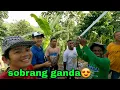 Download Lagu Bakas sa mukha nila ang kasayahan sa handog na bahay
