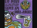 Mad Professor feat. Lee Scratch Perry - I´m Not a Human Being.