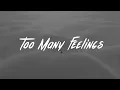 Download Lagu Ruel - Too Many Feelings (Lyrics)