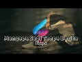 Mengapa Sepi Tanpa Berita-Steps(Lirik Video Edit)