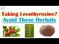 Surprising Interactions with Levothyroxine Synthroid and Herbal Supplements