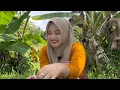 Download Lagu WOOW...KAGET‼️NENG SARI SIAP DI LAMAR SAMA LAKI - LAKI YANG BAIK DAN BERTANGGUNG JAWAB