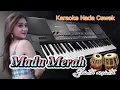 Download Lagu Madu Merah Shinta Arsinta Karaoke Nada Cewek
