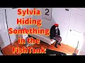 Sylvia Hiding Something in the FishTank