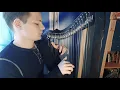 Hans Zimmer & John Powell – Oogway Ascends / OST "Kung Fu Panda" (26-string lever harp cover)