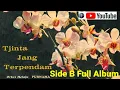 Download Lagu OM Purnama - Cinta yang Terpendam Side B Full