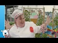 Download Lagu Koekjes - Samson \u0026 Marie Ijsjestijd