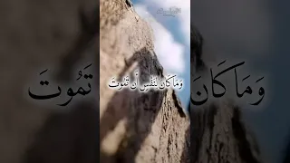 و م ا ك ان ل ن ف س أ ن ت م وت إ ل ا ب إ ذ ن ٱلل ه الشيخ محمود القزاز القرآن الكريم 