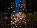 Download Lagu ahwarun ahwarun islamic arabic song | wal khat u hussaini palestine status #ahwarun_ahwarun #islamic