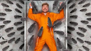 واجه أكبر مخاوفك لتربح 800 000 دولار 