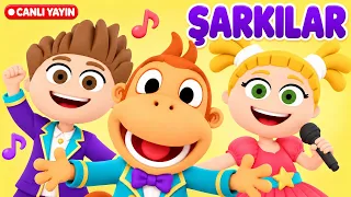 🔴 Kukuli Tüm Bölümler Canlı | Tinky ve Minky ile Eğlenceli Maceralar