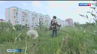 Больше 150 человек требуется в службу благоустройства, чтобы навести порядок на Левом берегу