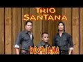 Lagu Trio santana - Rosdiana ( Official Music Video )