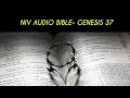 GENESIS 37 NIV BIBLE with text
