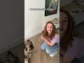 Download Lagu Honden en katten zijn gewoon een beetje anders.. 🫢