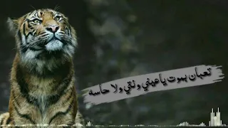 مهرجان تعبان بموت يا عيني وانت ولا حاسه 