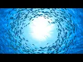 Download Lagu Fall Asleep in 5 Minutes ~ Relaxing Sleep Music, Soothing Relaxation, Meditation Music :)