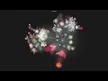 git - git history visualization