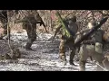 Ukraine War - Combat Footage From Kyiv Area Gives Closer Look At Armament Of Ukrainian AT Squads