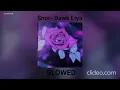 Snor -  Dawk Liya (S L O W E D - R E V E R B)
