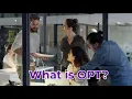 What Is OPT