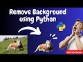 Remove Background using Python BANK OF KNOWLEDGE HINDI