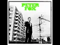 Peter Fox - Haus am See (432hz)