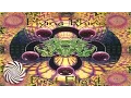 Download Lagu Pleiadians - Zeta Reticuli