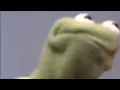 kermit gets triggered