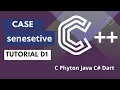 Case Sensitive Variable Declarations A Quick Guide C C Phyton Java Language