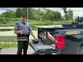 Basic introduction to Michigan waterfowl hunting