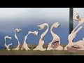 Download Lagu Parasyte The Maxim - Migi told shinichi about his new ability