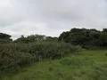 Vacant Land For Sale in Bathurst Eastern Cape South Africa for ZAR 120 000