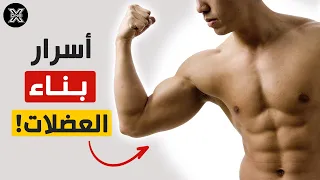 ازاي تبني عضلات قوية ؟! فقط في 3 خطوات💪💪