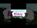 Bloxburg neighbourhood code