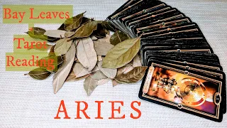 ARIES - Finally! The Changes You So Deserve are Happening! SEPTEMBER 7th-13th