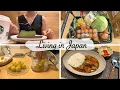 Download Lagu shopping at Muji, grocery shopping, make plum syrup and Japanese curry | Japan vlog