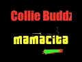Collie Buddz - Mamacita