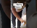 Download Lagu My bunny dances better than me 🐰💃 #shorts