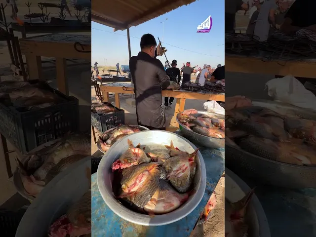 ⁣وجبة السمك البصراوي للزائرين #قناة_الشراع