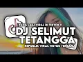 Download Lagu DJ SELIMUT TETANGGA REPUBLIK VIRAL TIKTOK 2024