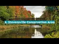 9 Fun Things to Do Near Buffalo NY