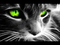 Seeed- "Augenbling" [HD]
