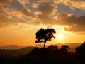 LISA GERRARD - Aria (featured in Layer Cake)