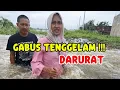 Lagu KALI GABUS MELEDAK ‼️ BANJIR BEKASI HARI INI — TOL GABUS BIANG KEROK BANJIR - DEDI MULYADI #kdm