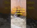 Download Lagu This summer it takes so far even dog feels burning #dog #doglover #doglife #summer #summervibes