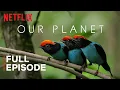 Download Lagu Our Planet | One Planet | FULL EPISODE | Netflix